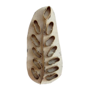 Small Brass Stamps - Single
